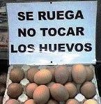 Avatar de Usuario