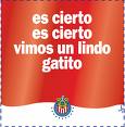 Avatar de Usuario