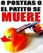 Avatar de Usuario