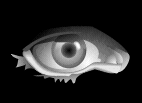Avatar de Usuario