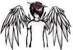 Avatar de Usuario