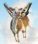 Avatar de Usuario
