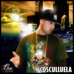 Avatar de Usuario