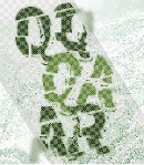 Avatar de Usuario