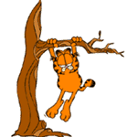 Avatar de Usuario