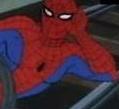 Avatar de Usuario