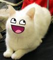 Avatar de Usuario