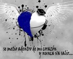 Avatar de Usuario