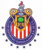 Avatar de Usuario