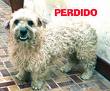 Avatar de Usuario