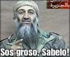 Avatar de Usuario