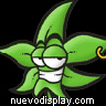 Avatar de Usuario
