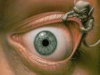 Avatar de Usuario