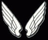 Avatar de Usuario