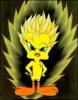 Avatar de Usuario