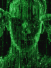 Avatar de Usuario
