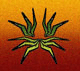 Avatar de Usuario