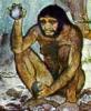 Avatar de Usuario