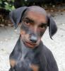 Avatar de Usuario