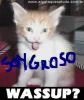 Avatar de Usuario