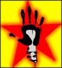 Avatar de Usuario