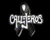 Avatar de Usuario