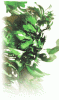 Avatar de Usuario
