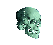 Avatar de Usuario