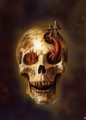 Avatar de Usuario