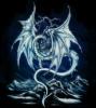 Avatar de Usuario