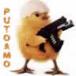 Avatar de Usuario