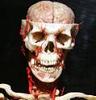 Avatar de Usuario