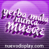 Avatar de Usuario