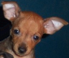 Avatar de Usuario