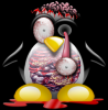 Avatar de Usuario