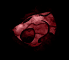 Avatar de Usuario