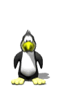 Avatar de Usuario