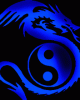 Avatar de Usuario