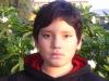 Avatar de Usuario