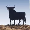 Avatar de Usuario