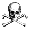 Avatar de Usuario