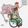 Avatar de Usuario