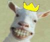 Avatar de Usuario