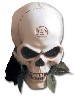 Avatar de Usuario