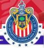 Avatar de Usuario